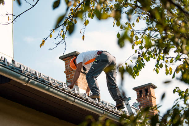Best Storm Damage Roof Repair  in Jessup, PA